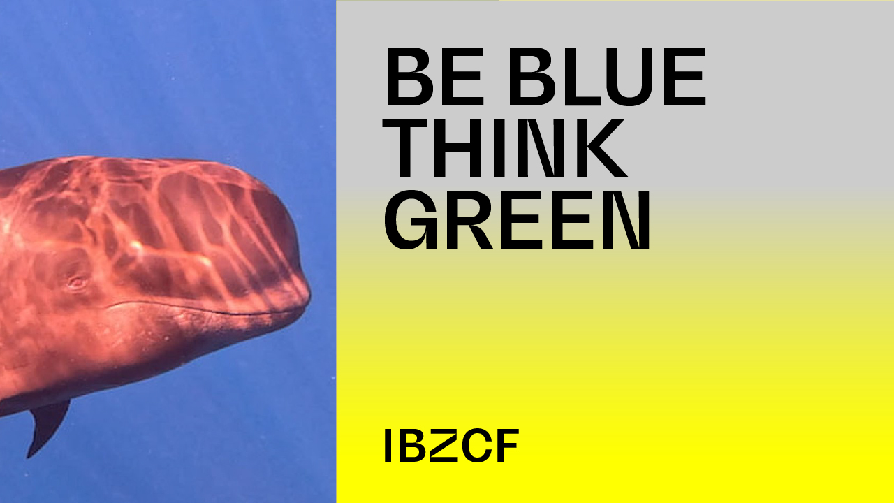 IBZCF26_Be-Blue