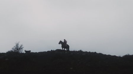 El Cuero